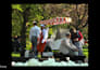 shoot aesthetic photos in berlin or places nearby